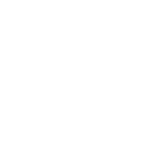 dunlop